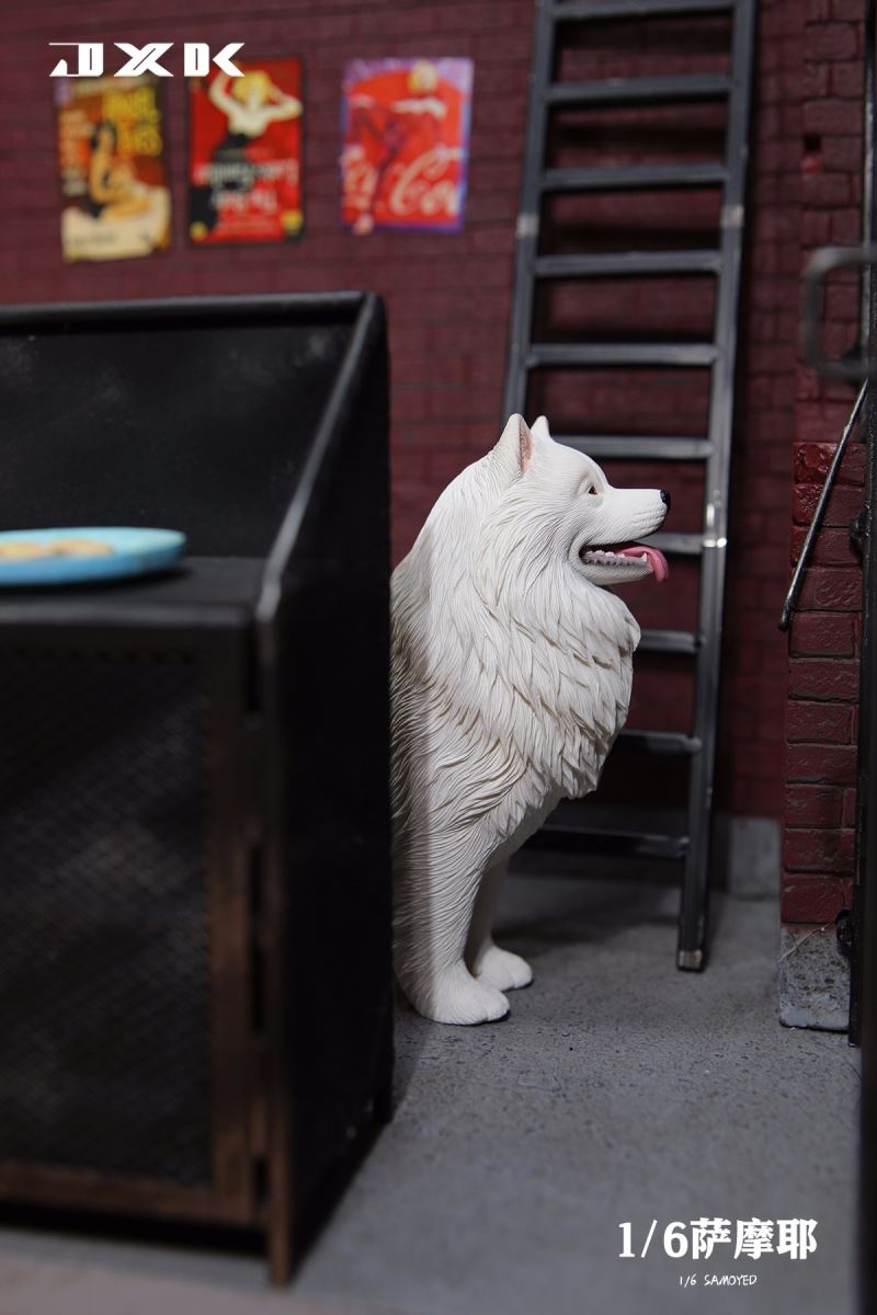 Samoyed (JXK143) 1/6