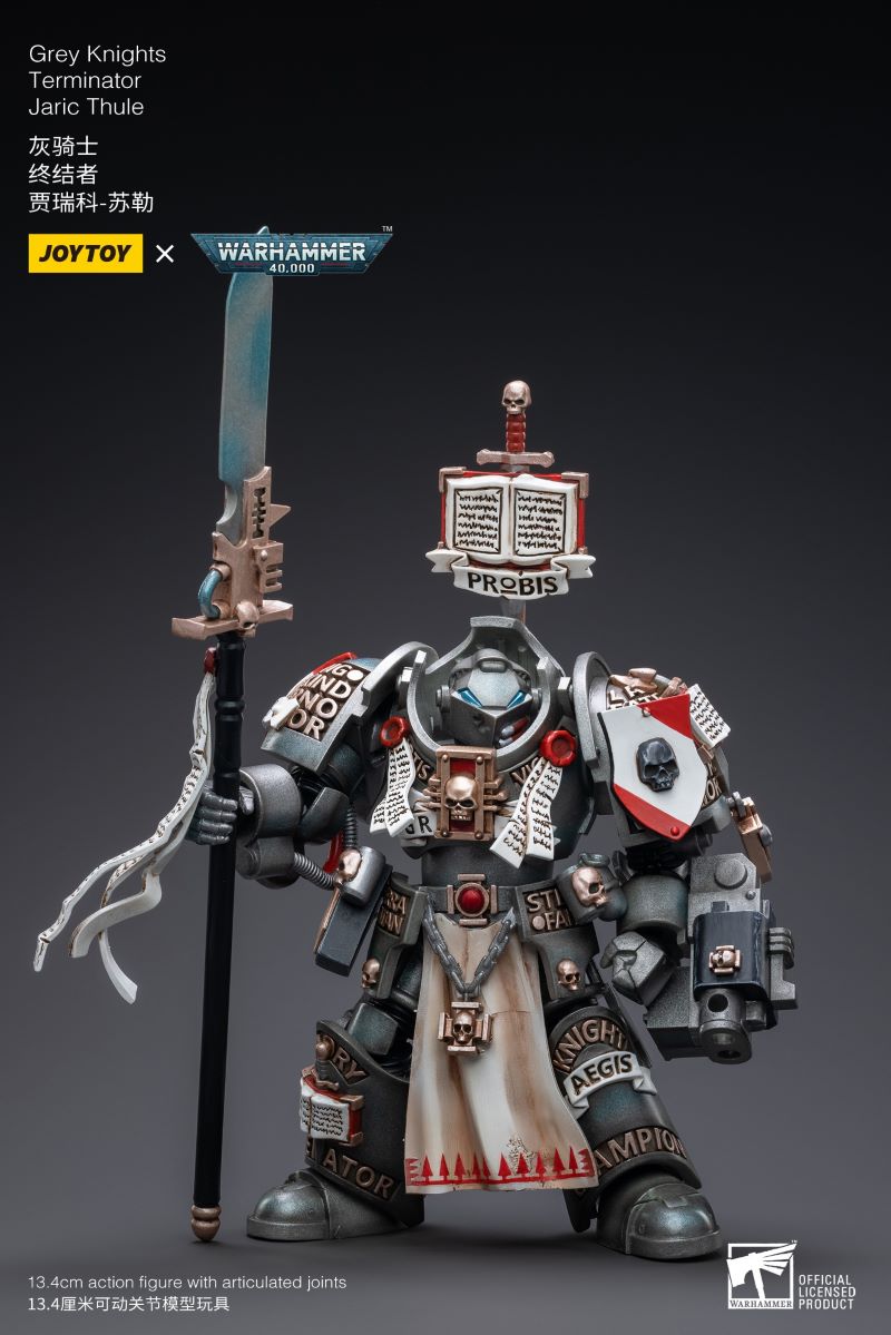 Grey Knight Terminator - Jarek Sule/Carton Vibowa/Redis Akanta/Inkarnes Niordan 1/18