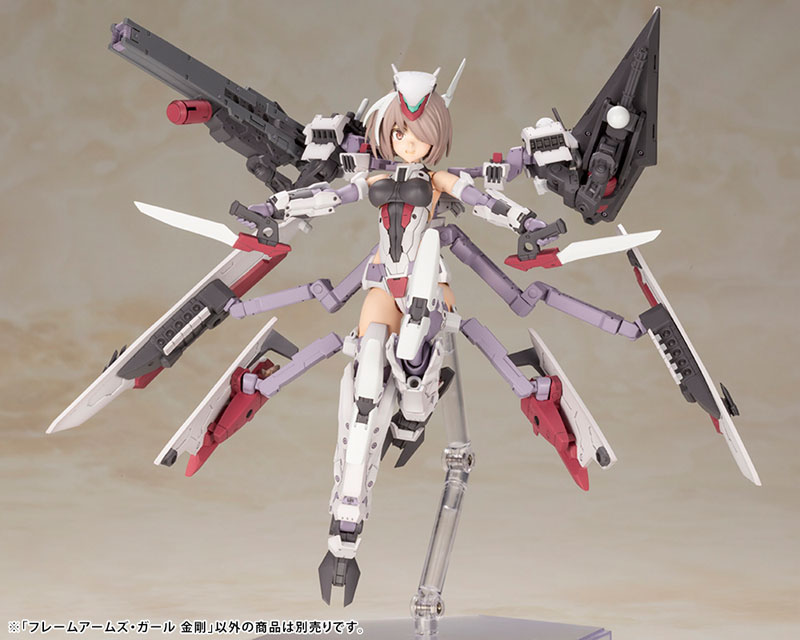 Frame Arms Girl Kongo