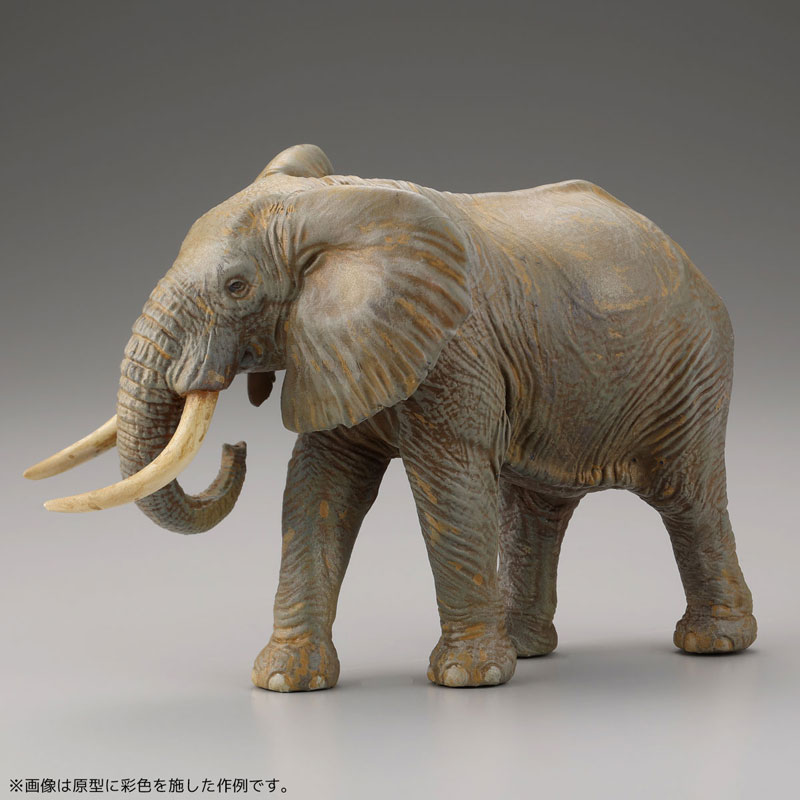 ARTPLA Tourist & African elephant Set 1/35