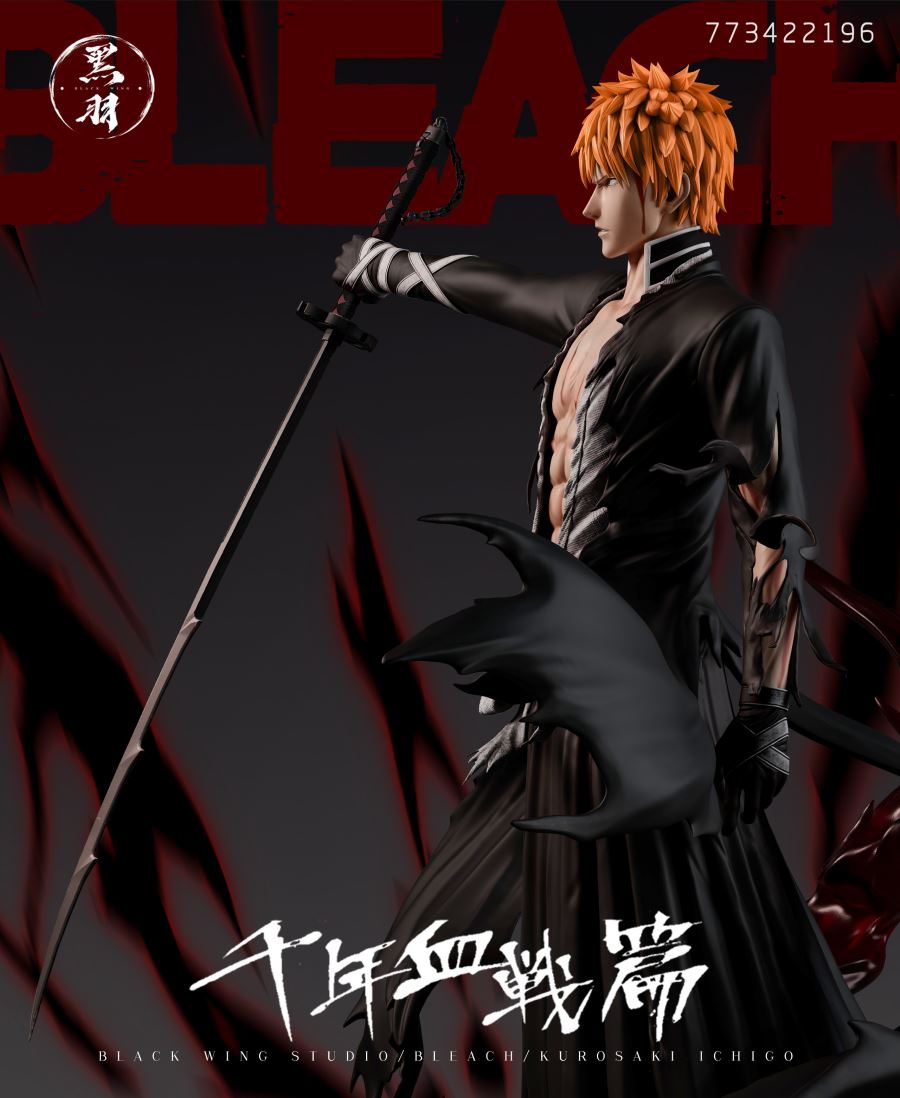 Kurosaki Ichigo 1/6