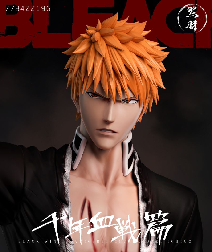 Kurosaki Ichigo 1/6