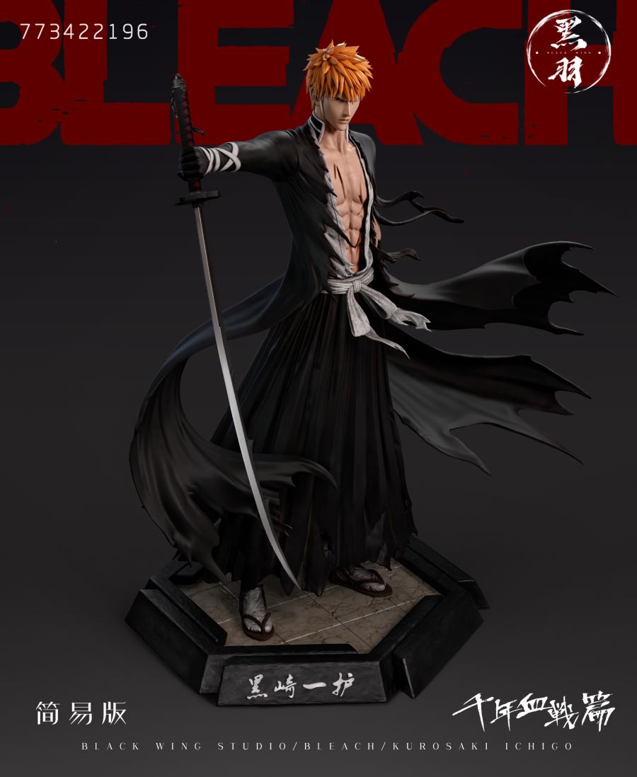 Kurosaki Ichigo 1/6