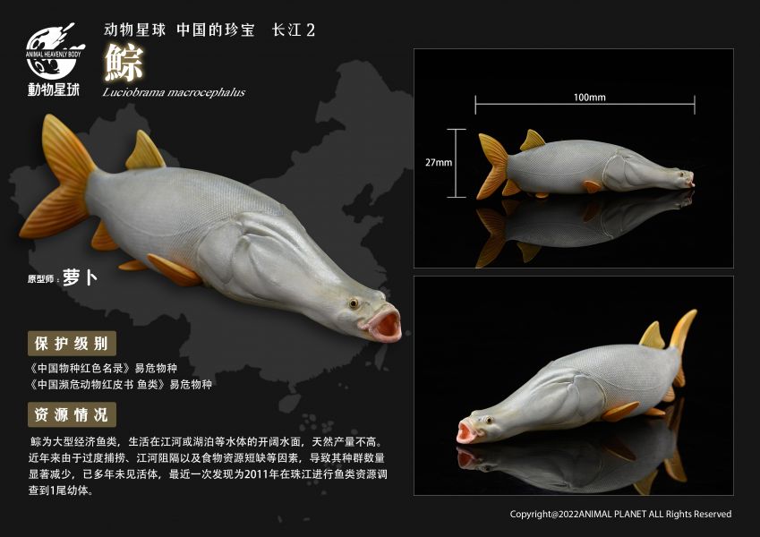 Chinese Treasure Yangtze River 2