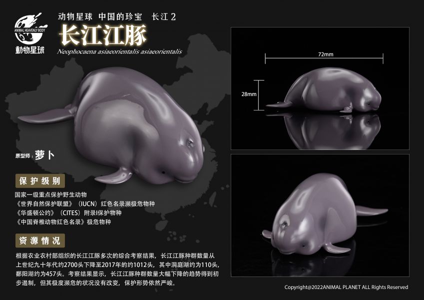 Chinese Treasure Yangtze River 2