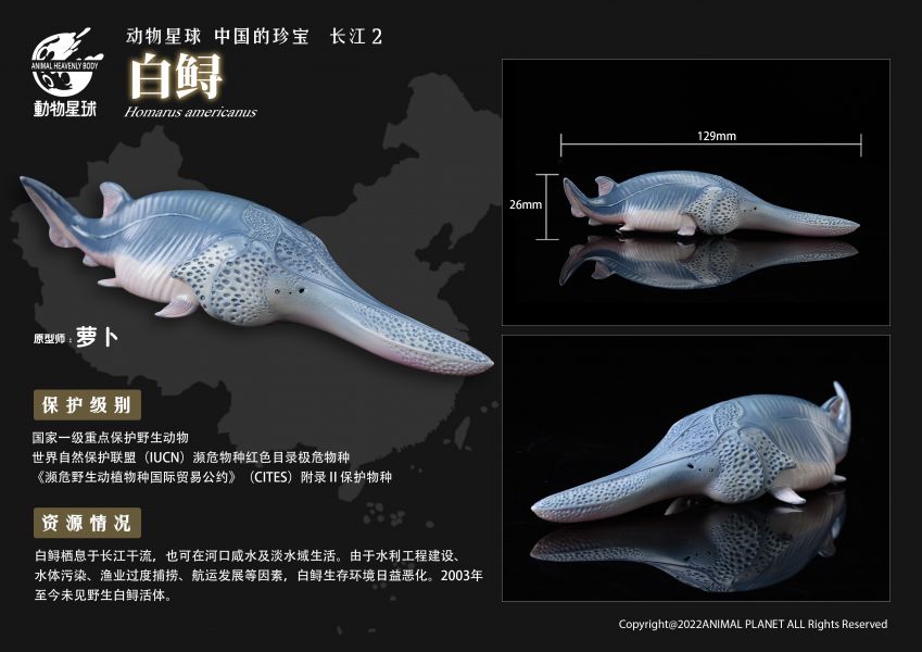 Chinese Treasure Yangtze River 2