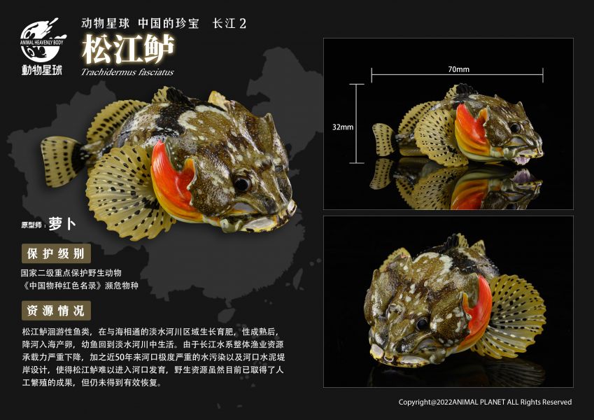 Chinese Treasure Yangtze River 2