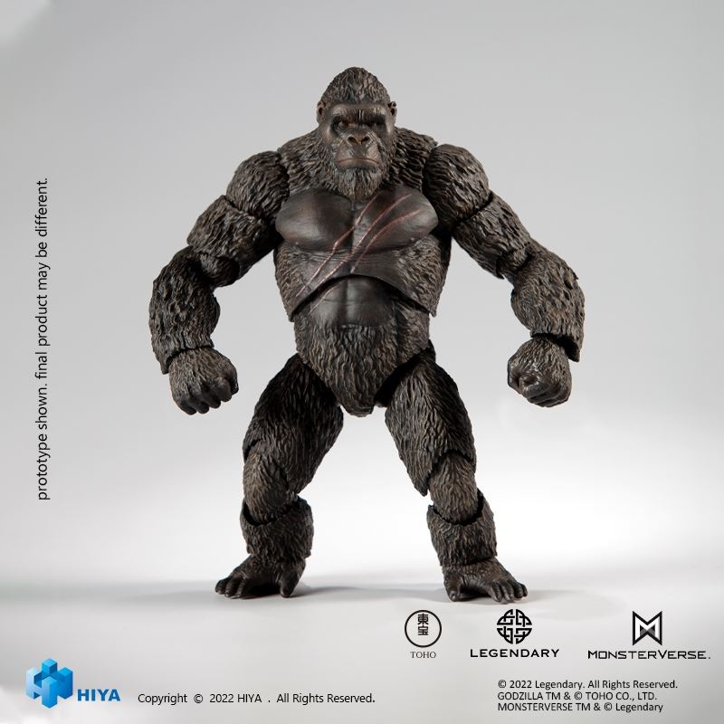 Kong - Godzilla vs Kong