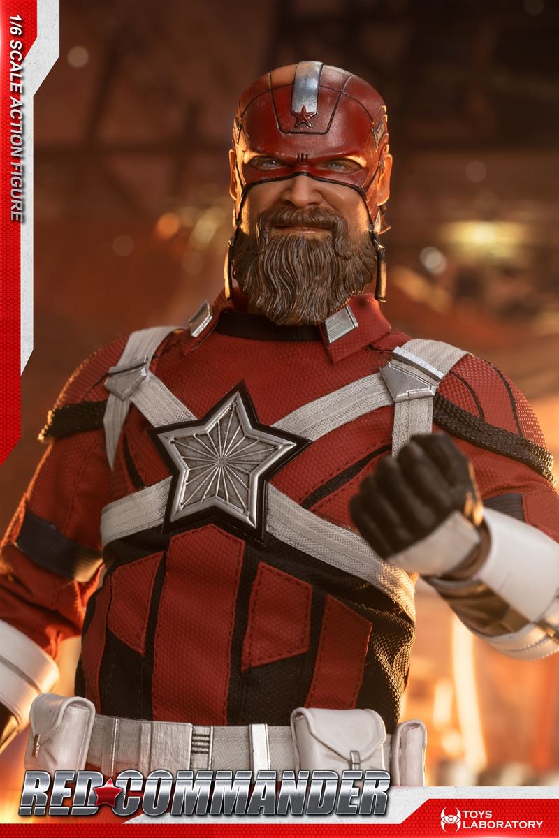 Red Commander 1/6