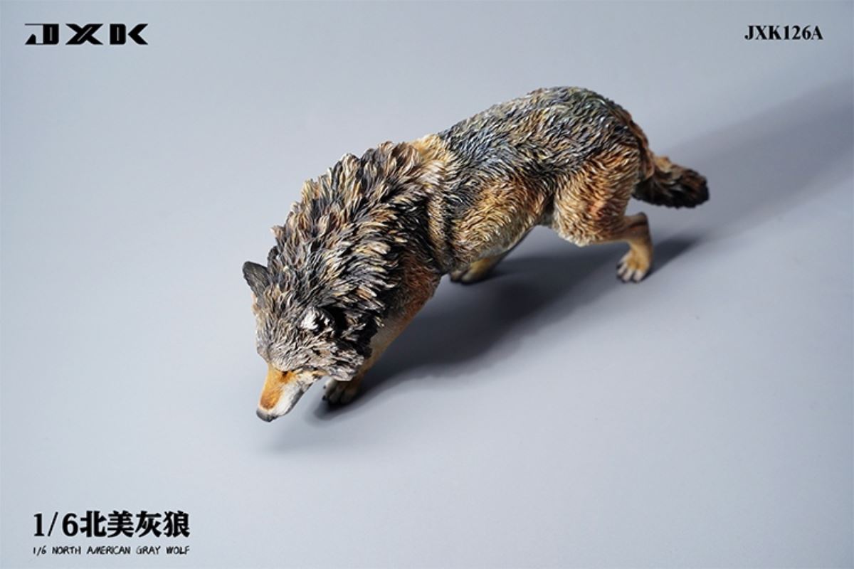North American Grey Wolf 1/6
