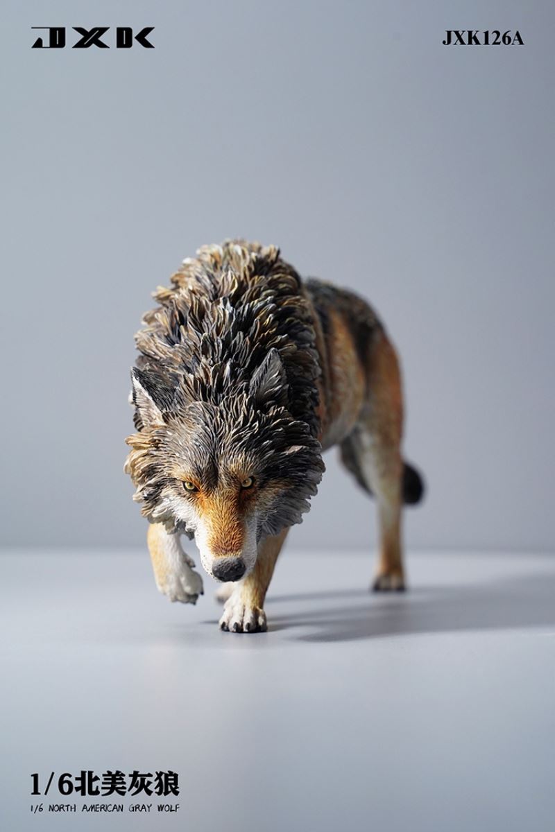 North American Grey Wolf 1/6