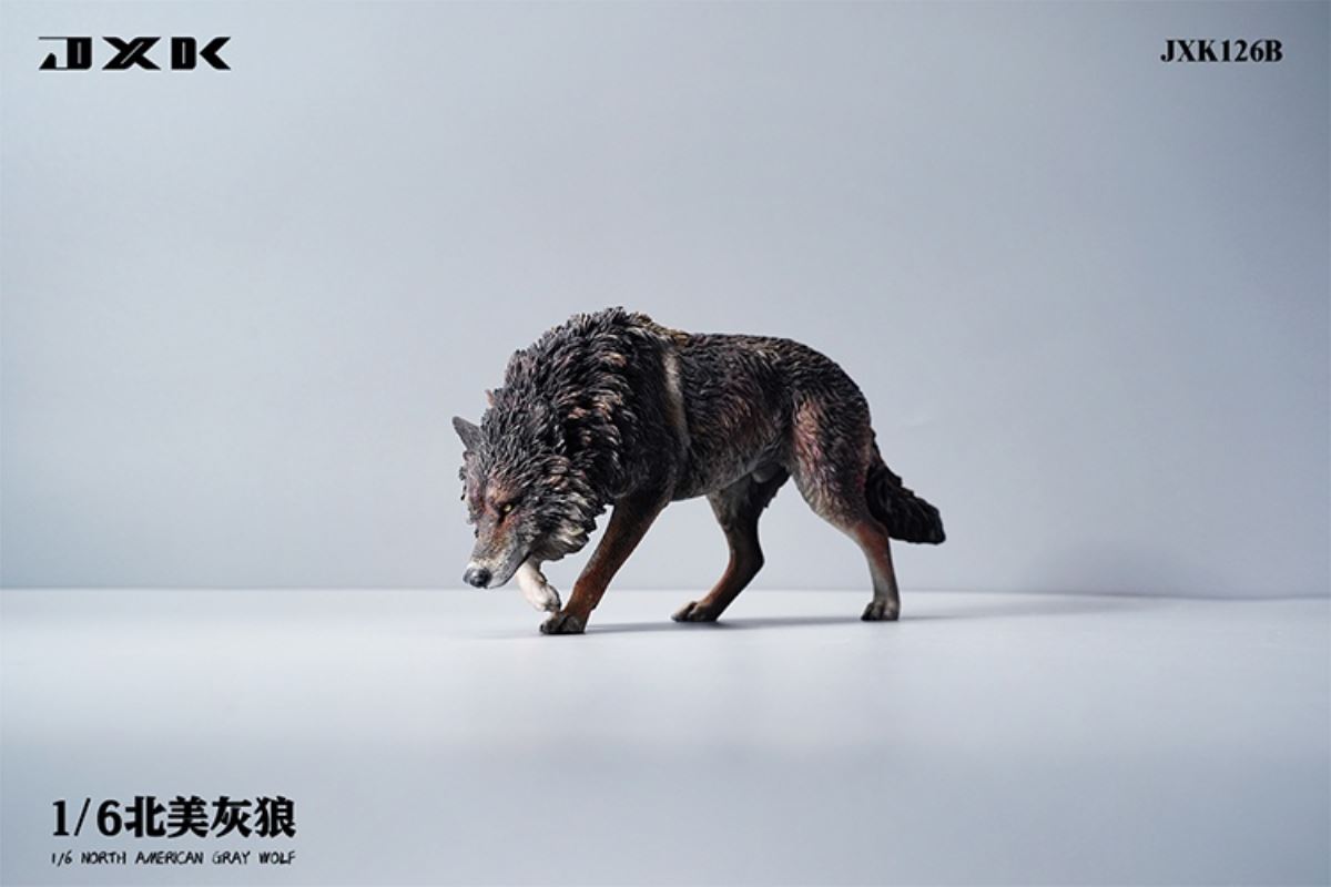 North American Grey Wolf 1/6