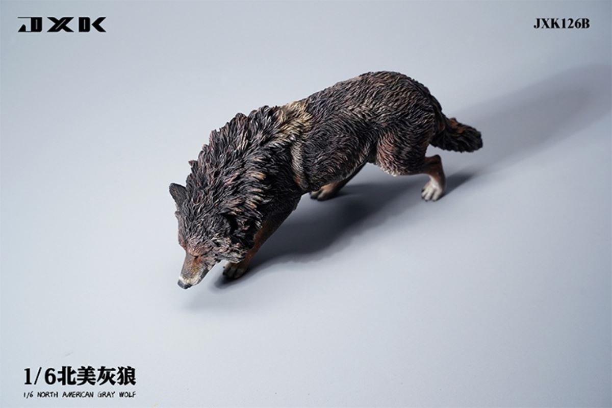 North American Grey Wolf 1/6