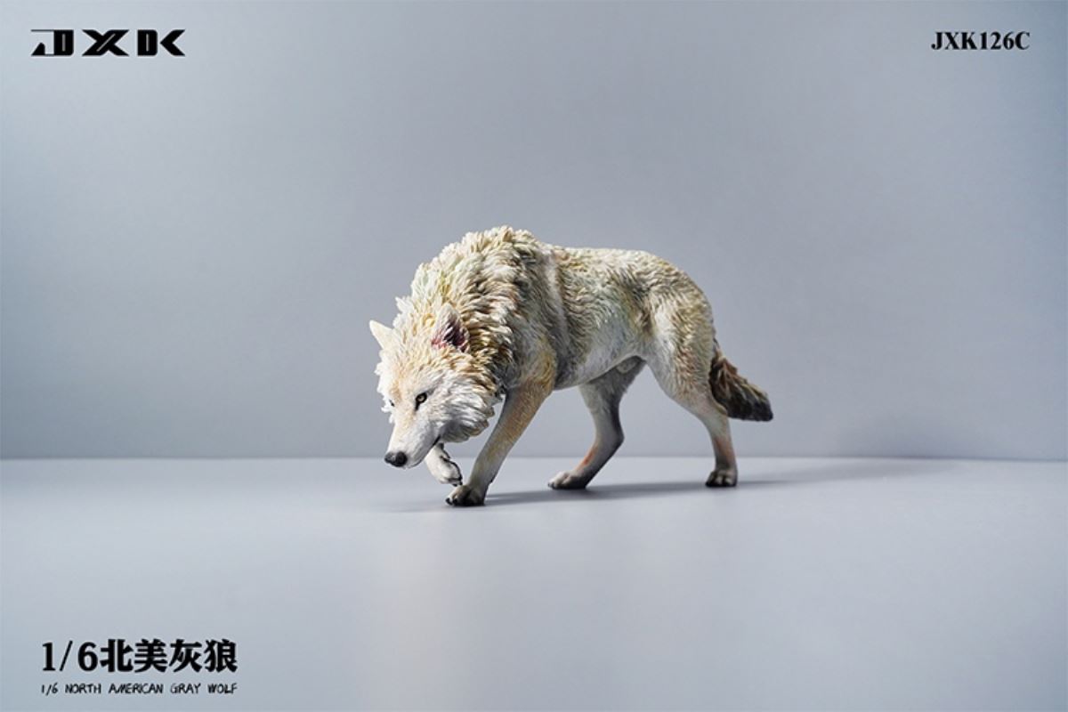 North American Grey Wolf 1/6