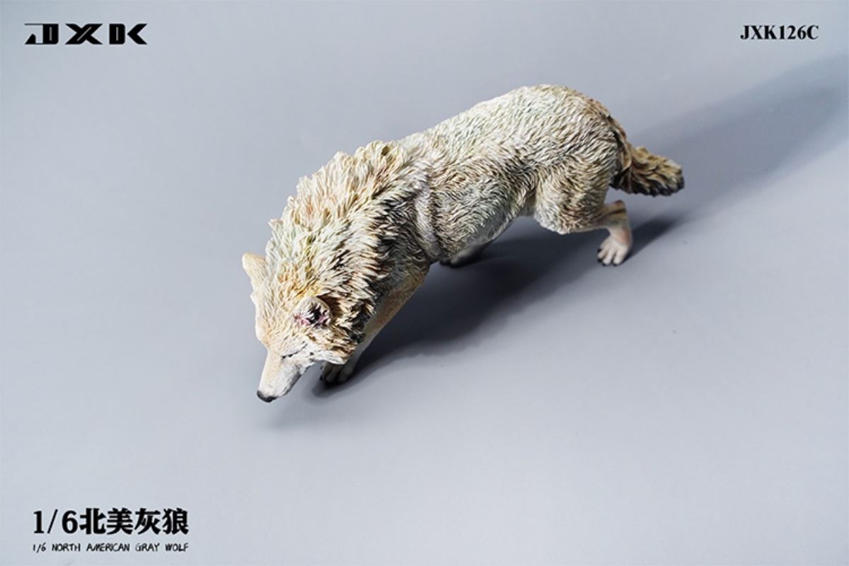 North American Grey Wolf 1/6