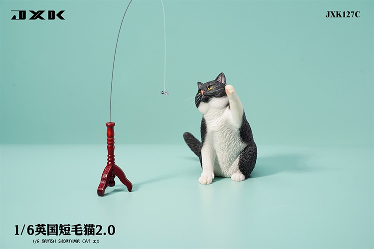 British Shorthair Cat 2.0 JXK127
