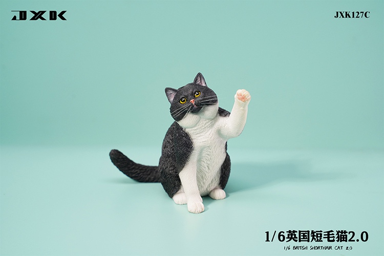 British Shorthair Cat 2.0 JXK127