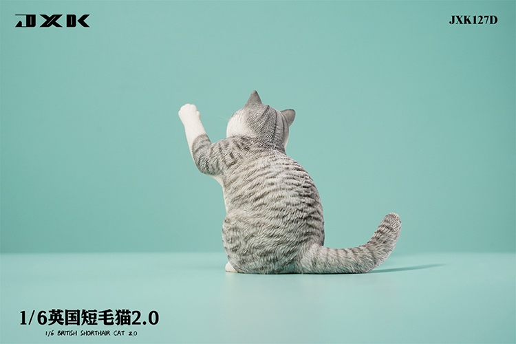British Shorthair Cat 2.0 JXK127