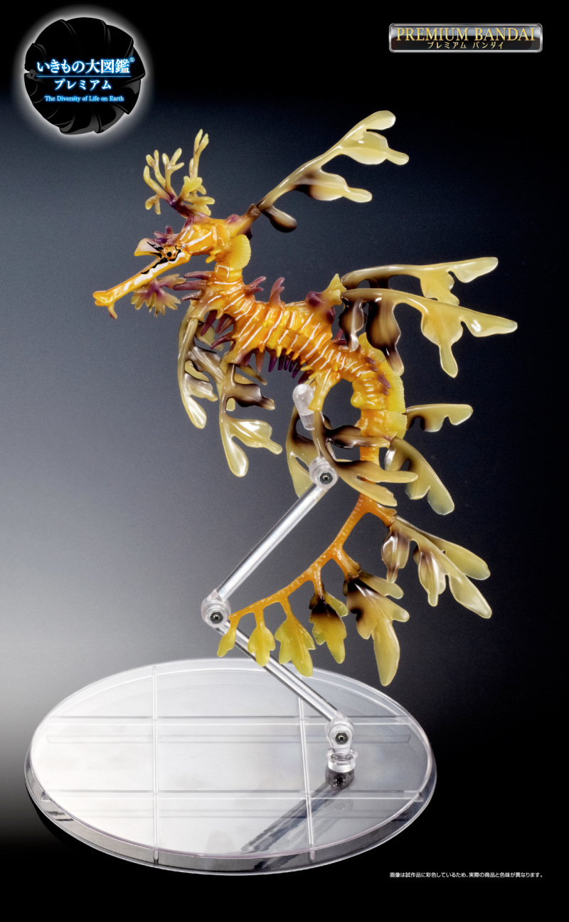 Ikimono Encyclopedia Premium Leafy Seadragon