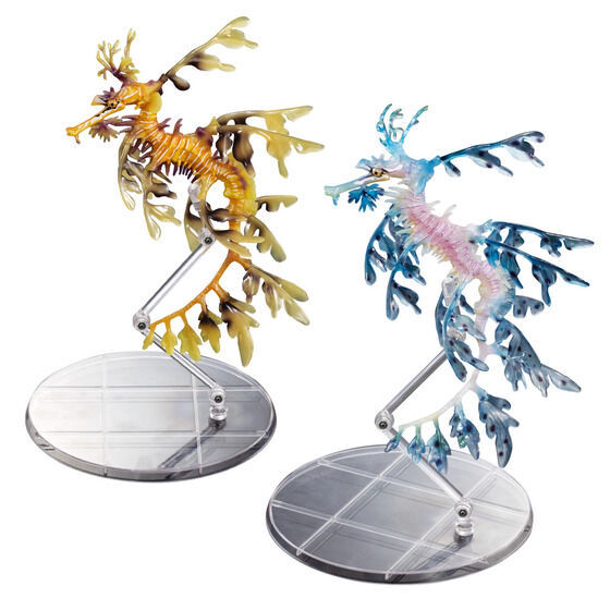 Ikimono Encyclopedia Premium Leafy Seadragon