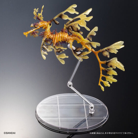 Ikimono Encyclopedia Premium Leafy Seadragon