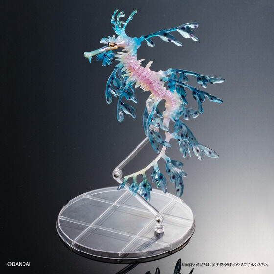 Ikimono Encyclopedia Premium Leafy Seadragon