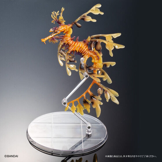 Ikimono Encyclopedia Premium Leafy Seadragon