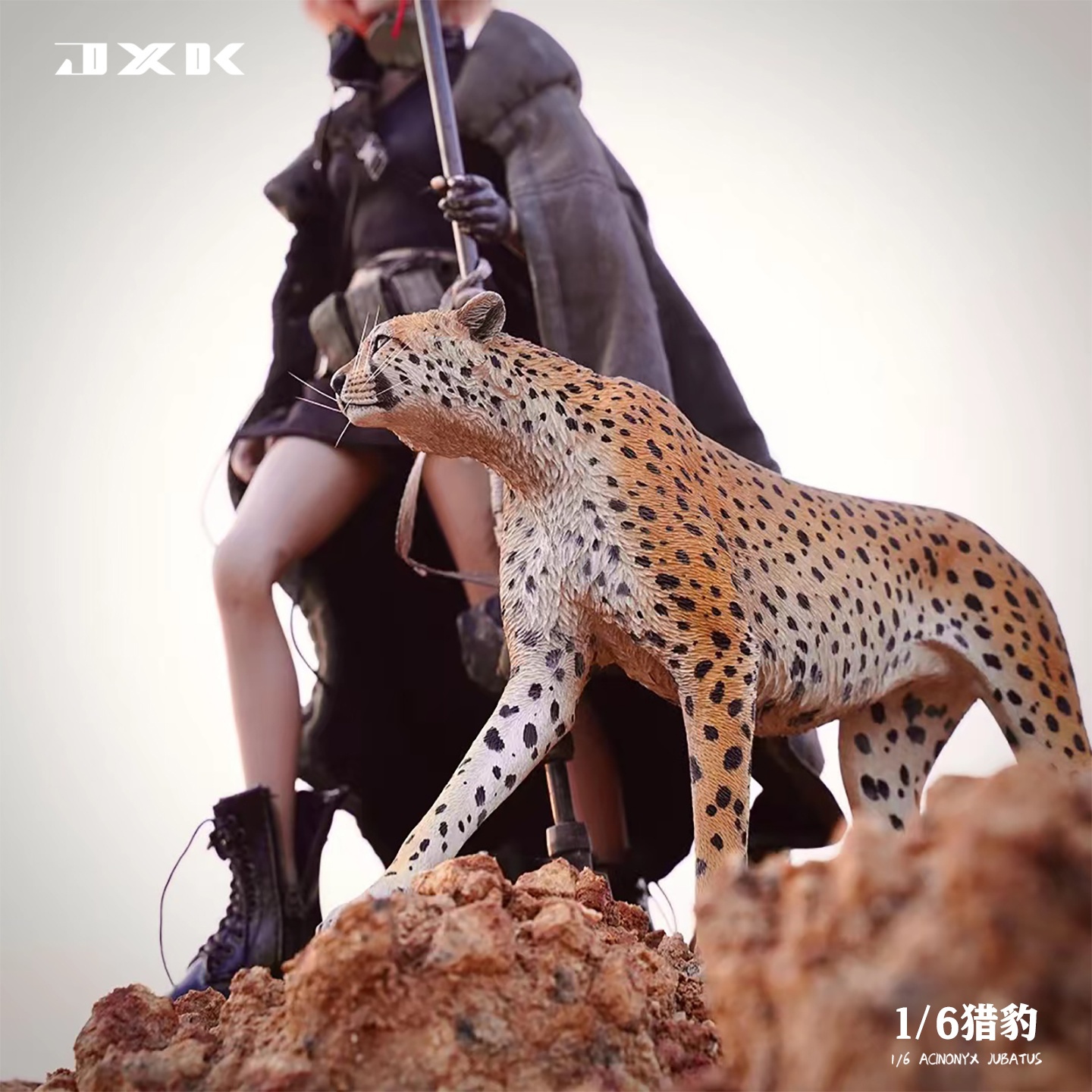 Acinonyx Jubatus/King Cheetha 1/6