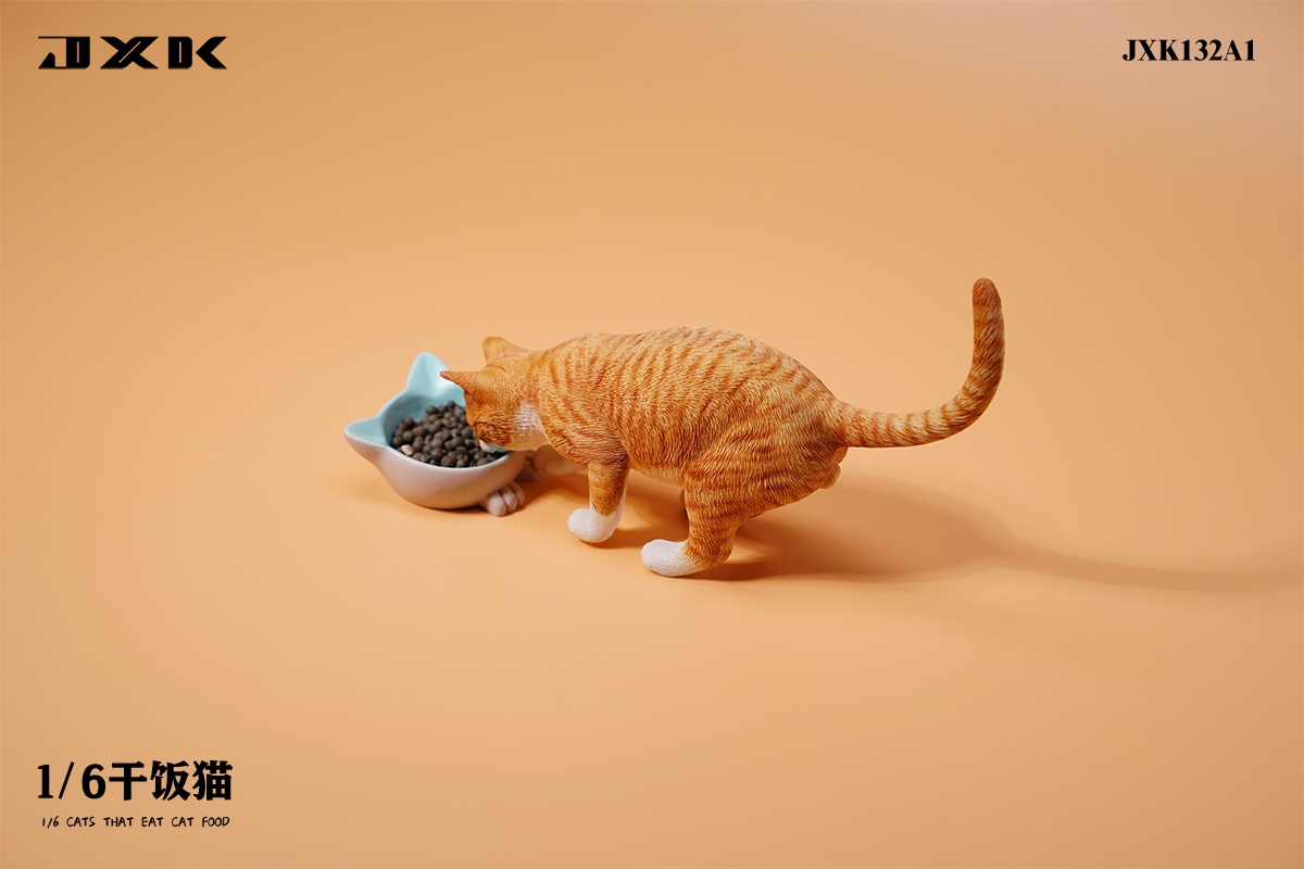Dry Rice Cat 1/6