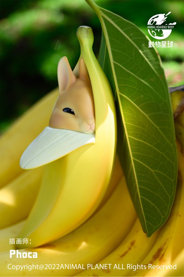 Banana Rabbit