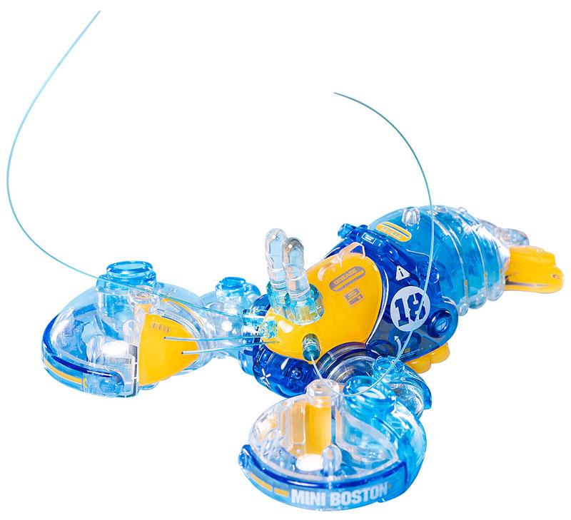 Boston Lobster