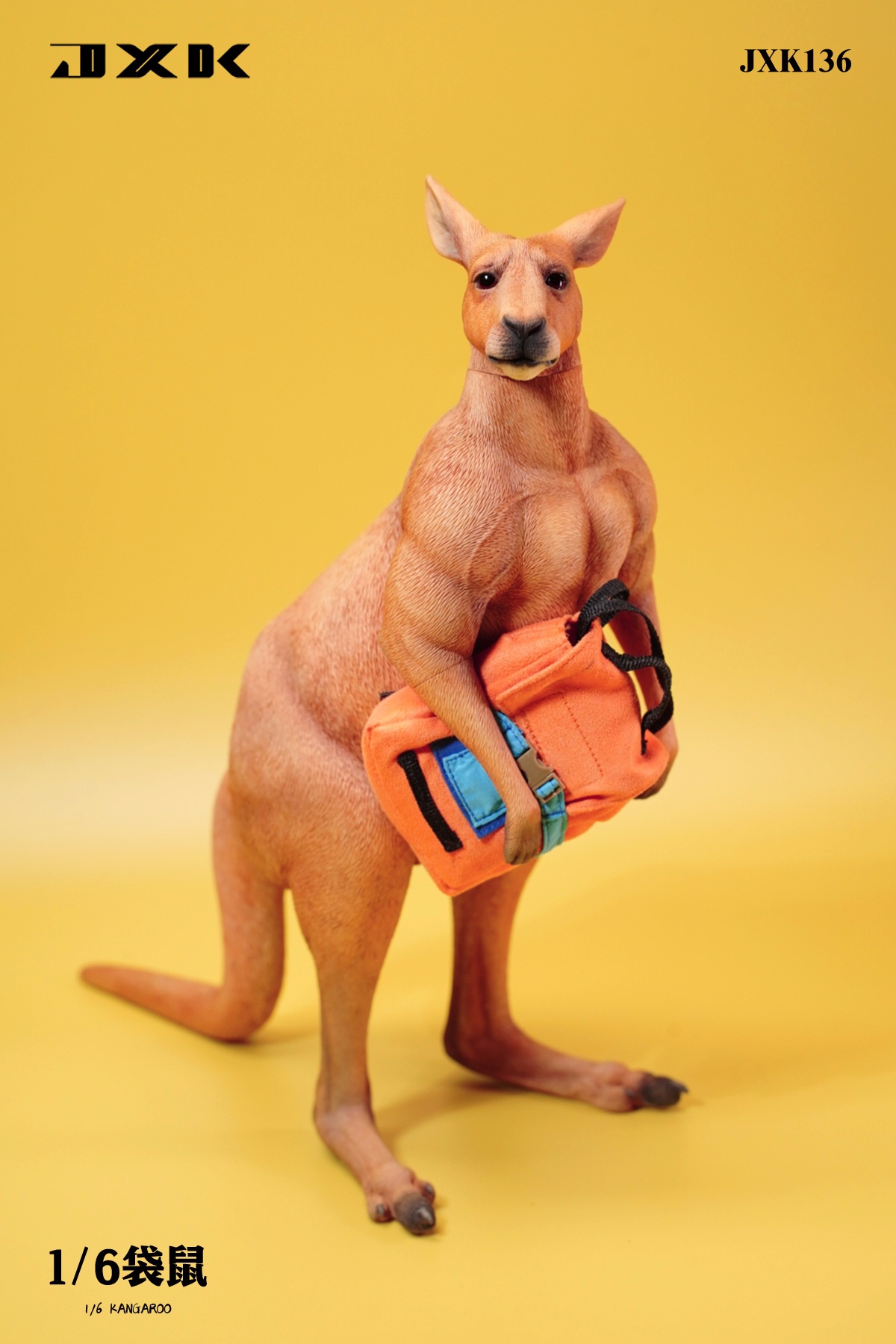 Kangaroo 1/6