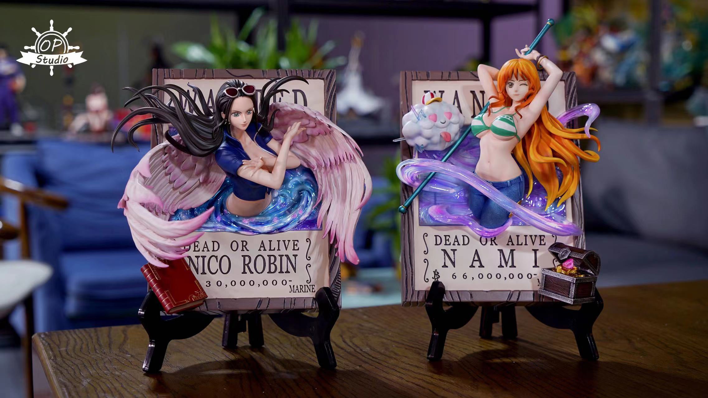3D Frame Nami & Nico Robin - ONE PIECE