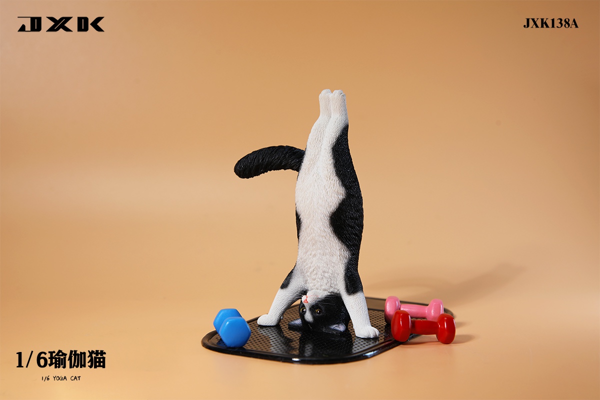 Yoga Cat 1/6
