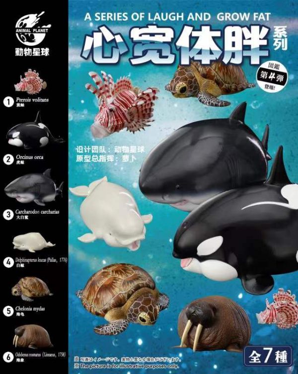 Laugh And Grow Fat Series - Ocean  Edition
