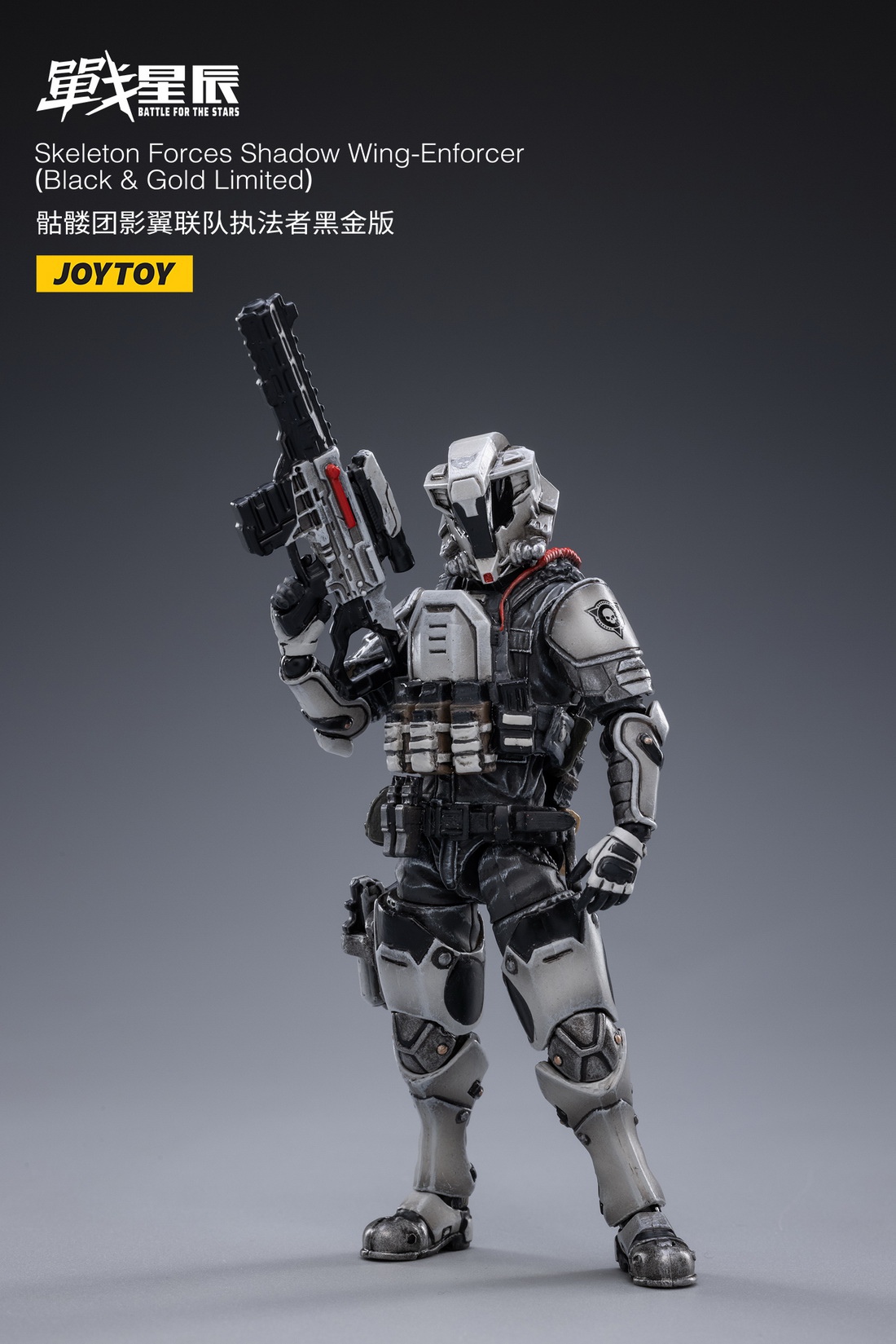 Skeleton Forces Shadow Wing Enforcer Black Gold Edition