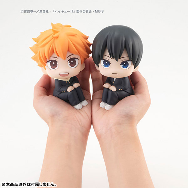 LookUp Haikyuu!! Shoyo Hinata & Tobio Kageyama
