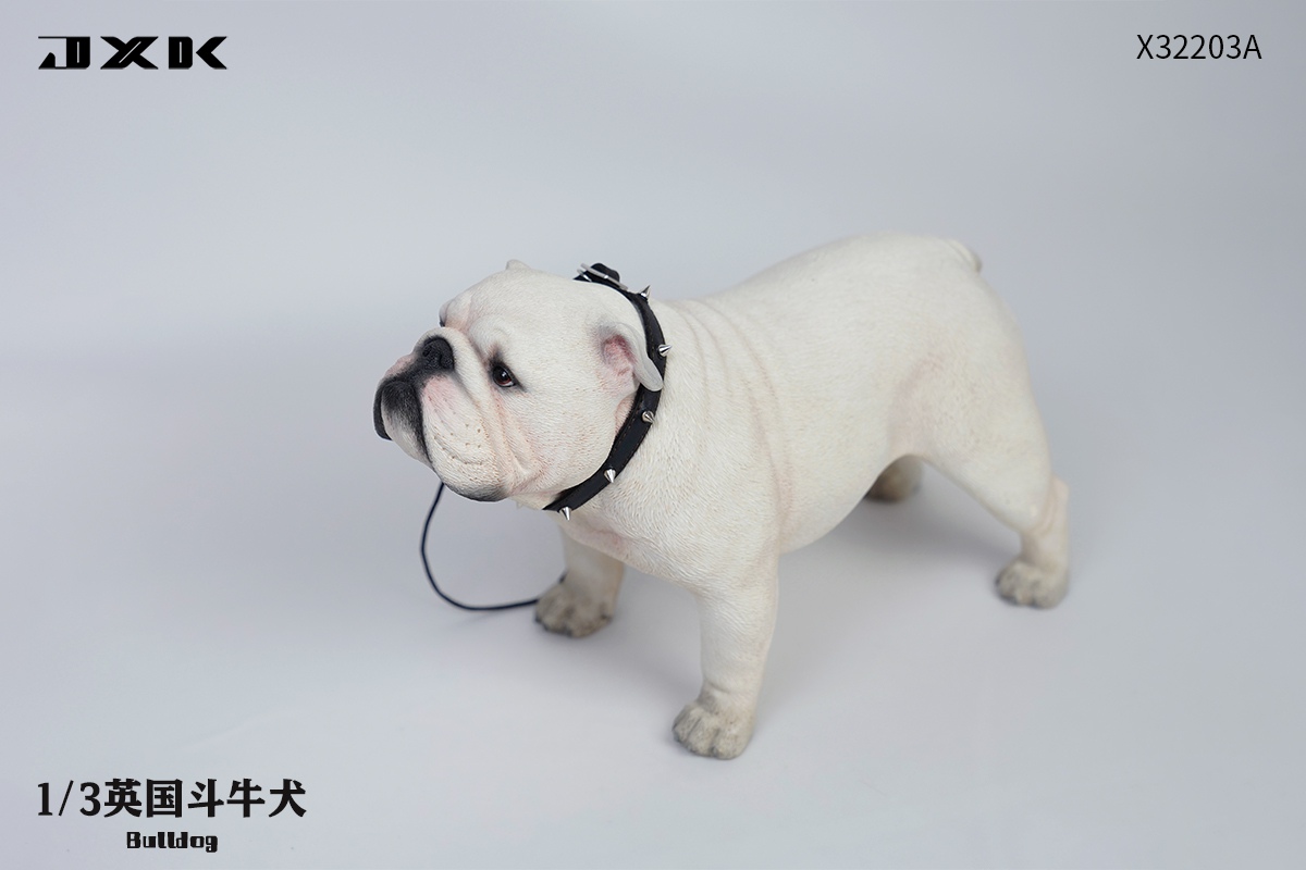 English Bulldog (X32203) 1/3