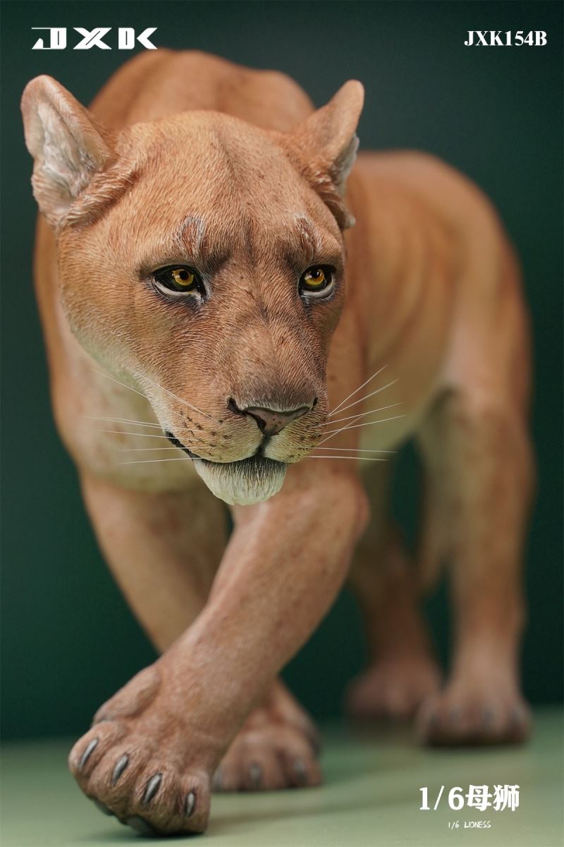Lioness 1/6