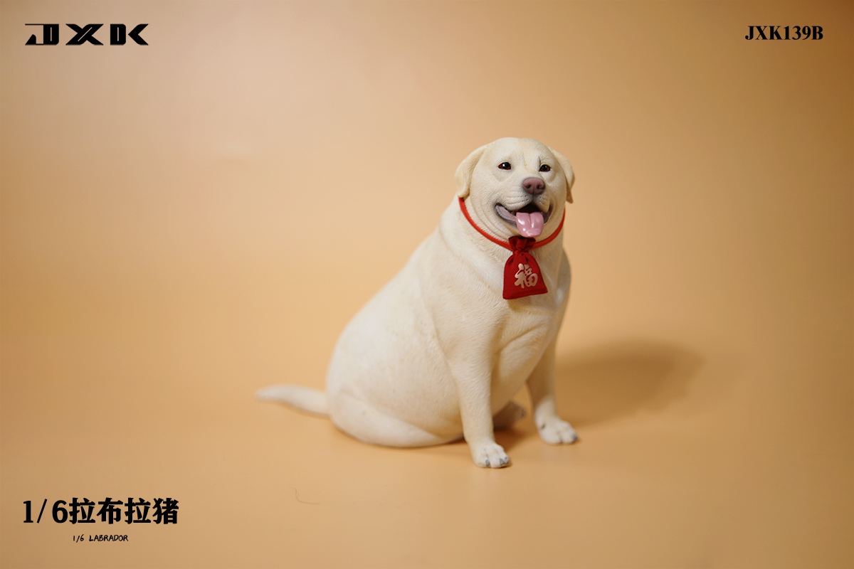 Labrador 1/6