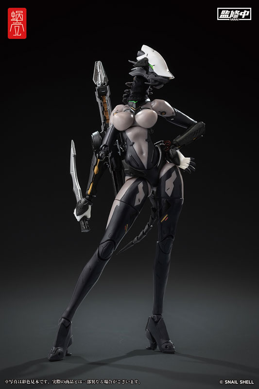 ASSASSIN 1/12