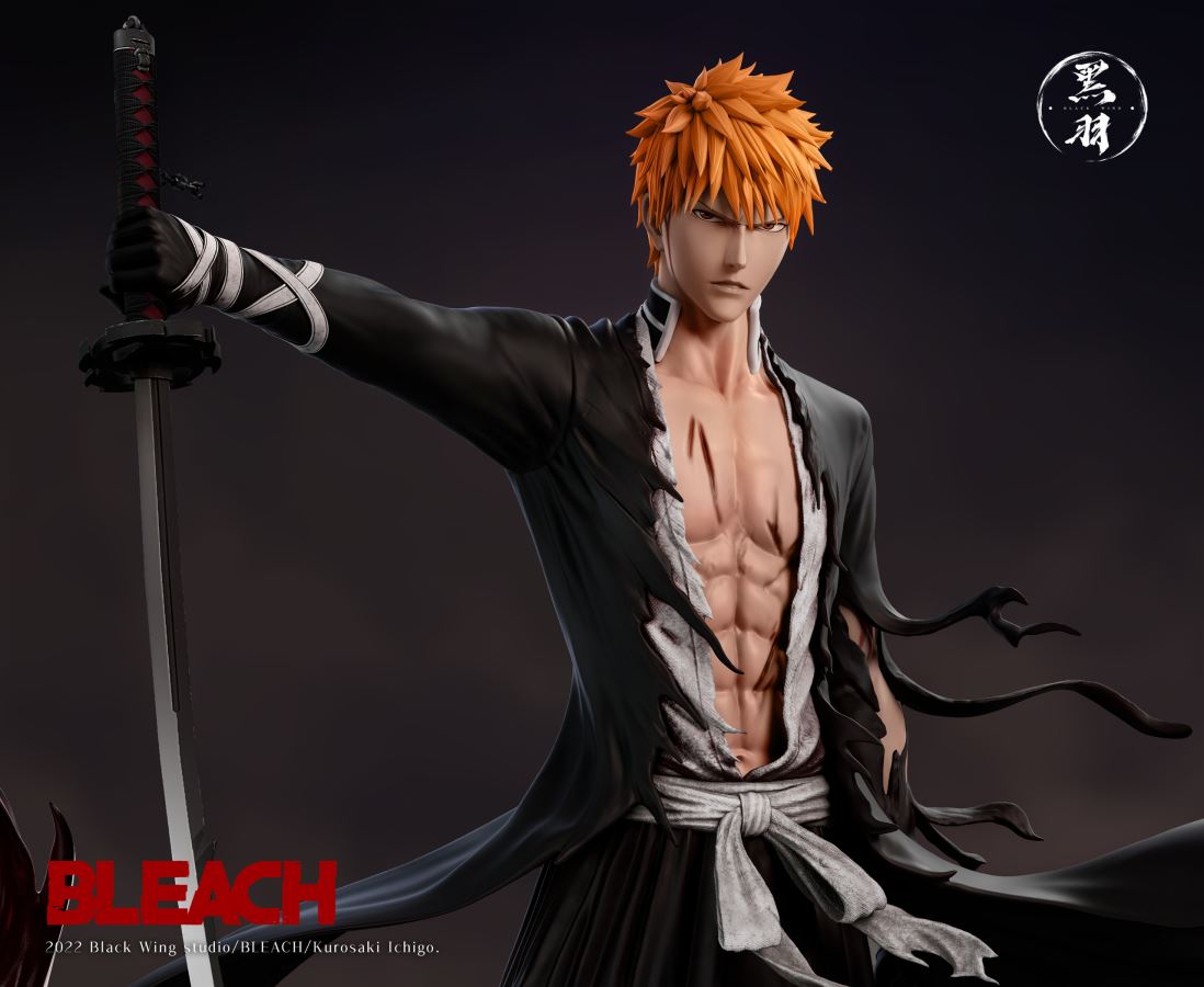Kurosaki Ichigo 1/6
