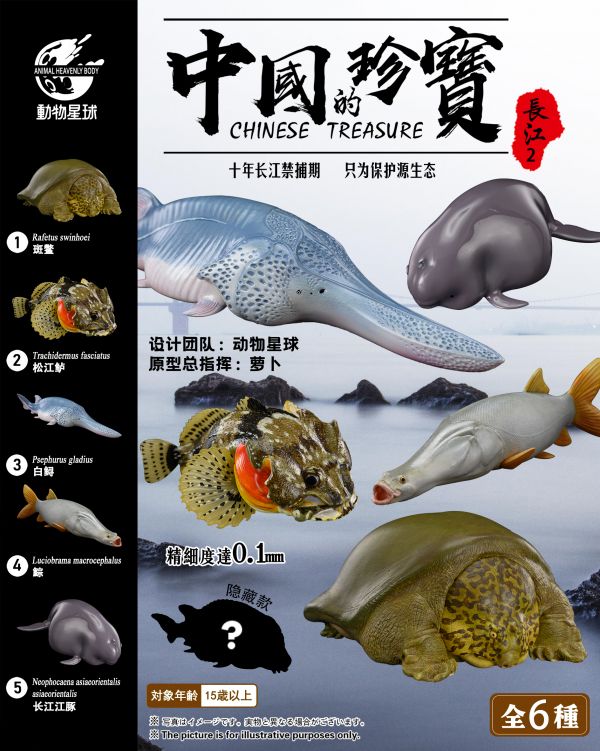 Chinese Treasure Yangtze River 2