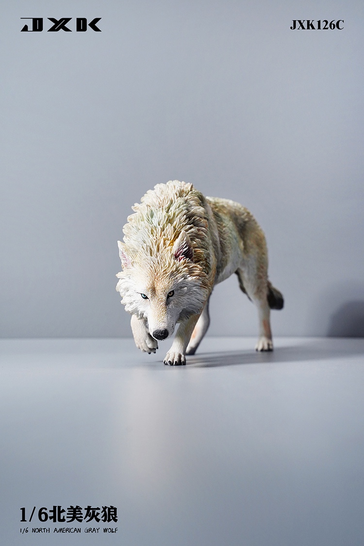 North American Grey Wolf 1/6