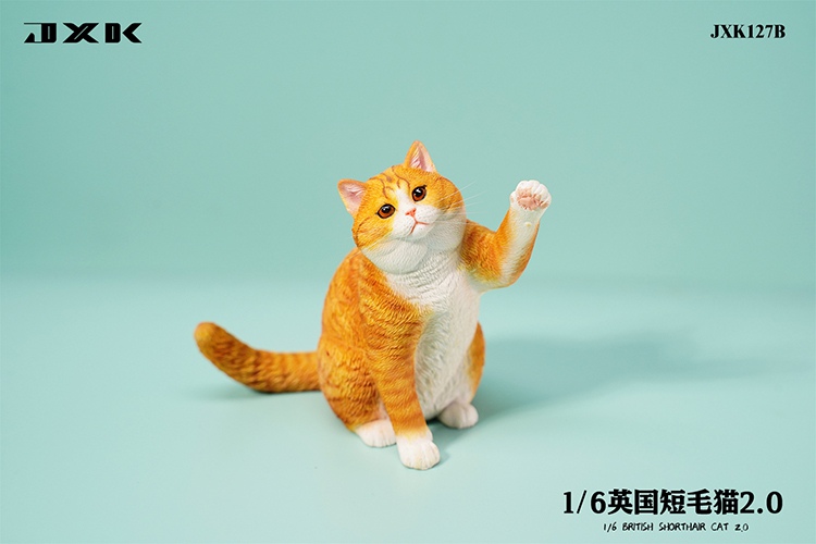British Shorthair Cat 2.0 JXK127