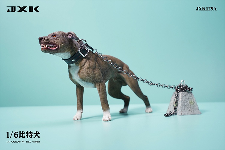 Pitbull 1/6
