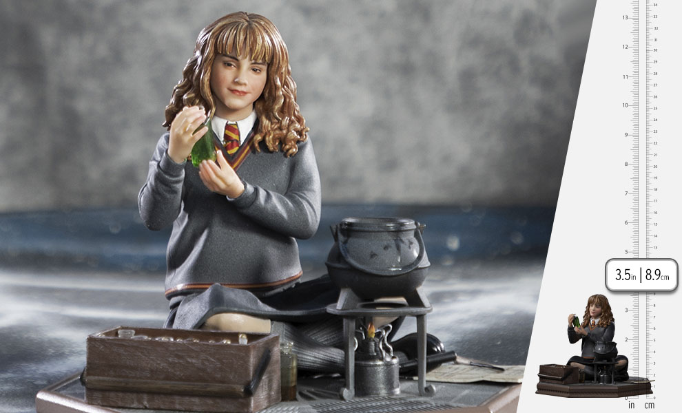 Hermione Granger Polyjuice 1/10