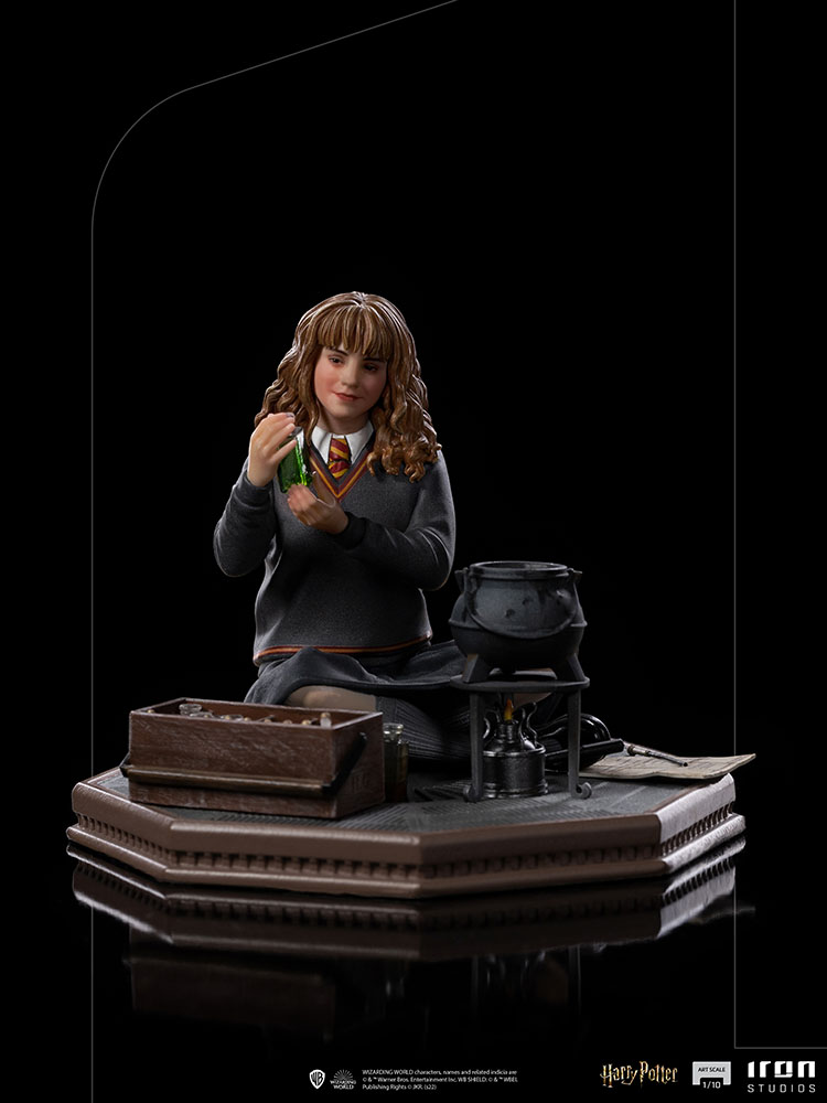 Hermione Granger Polyjuice 1/10