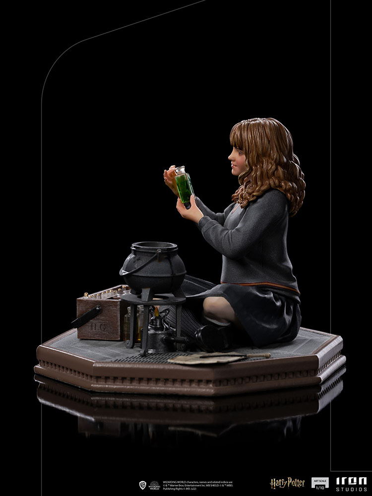 Hermione Granger Polyjuice 1/10