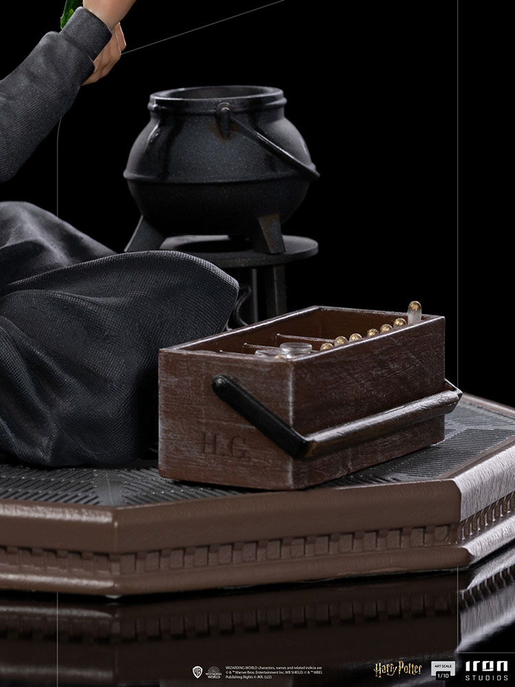 Hermione Granger Polyjuice 1/10